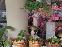 -凯德广场(金牛店)