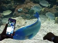 -临沂极地海洋王国
