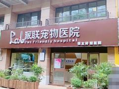 -派联宠物医院·24h·CT·异宠