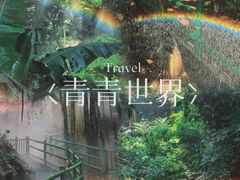 -青青世界