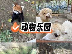 -栾川竹海野生动物园