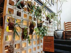 -自由生长植物工作室(深港花卉中心店)