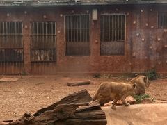 -昆明动物园