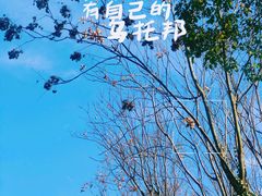 -宝界山林公园