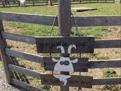 -前小桔亲子创意农场·草莓采摘·露营烧烤