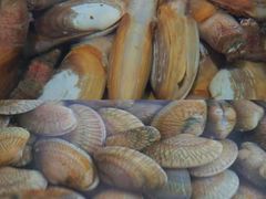 -三亚火车头万人海鲜广场