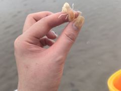 -万尾金滩