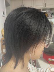 -YESIDO椰岛造型