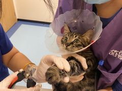 -萌兽医馆·犬猫专科·眼科中心·宠物医院(朝阳门分院)