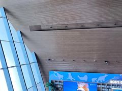 -抱抱地球咖啡馆(国家海洋博物馆店)