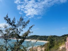 -广东惠东海龟国家级自然保护区