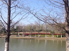 iphone_upload_pic-白塘生态植物园