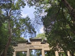 -灵谷景区