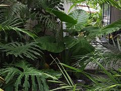 -漫笙舍Manse·咖啡·民宿