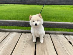 -丽江泸沽湖景区