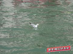 -叹息桥