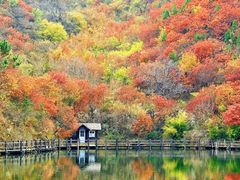 -九如山休闲旅游度假区