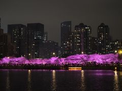 -西北湖绿化广场