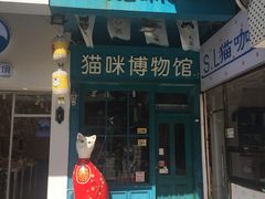 -猫咪博物馆(顶澳仔猫街店)
