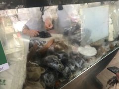 -芳婆糕团店(王府大街店)