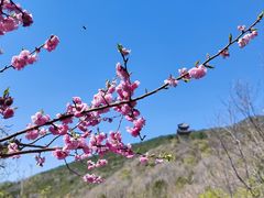 -红螺寺