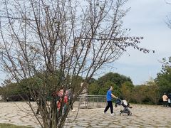 -南京市江宁方山
