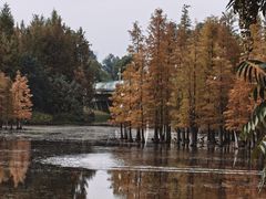 -白鹭湾湿地公园