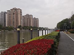 -陈家山荷花公园