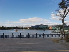 -上海长兴岛郊野公园