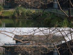 -木守西溪溪隐餐厅
