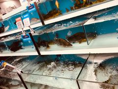 -盒马鲜生(大成店)