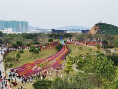 -东莞植物园