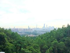 -火炉山森林公园