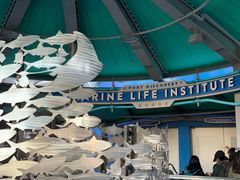 -海底巡游艇:尼莫和好友的海洋世界