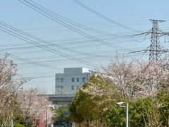 -外高桥保税区南(地铁站)