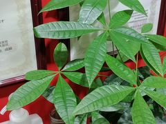 -学习谷日语培训日本留学·多语种外语教学(海淀人大分部)