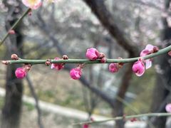 -鹫峰国家森林公园