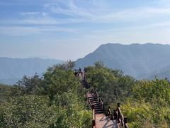 -大岭沟猕猴桃谷风景区