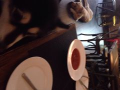 百好乐比萨-百好乐宠物友好餐厅(朝外大街店)