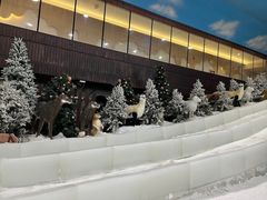 -世界之窗阿尔卑斯冰雪世界