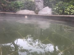 -郑州银基黄帝宫御温泉