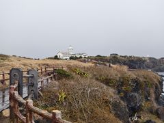 -涉地可支