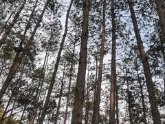 -剑门关风景区