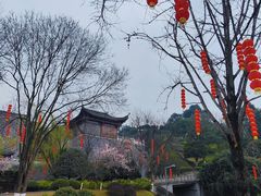 -重庆园博园