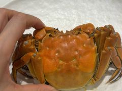 -老正兴菜馆(福州路店)