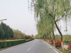 -洨河生态公园