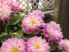 -泉乐坊步行街(烟酒特产平价超市店)