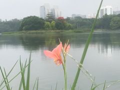 -南宁南湖公园