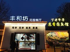 -丁老爷子苏香圆