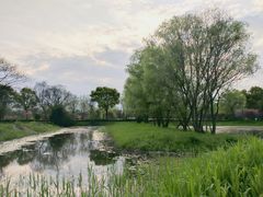 -西溪国家湿地公园